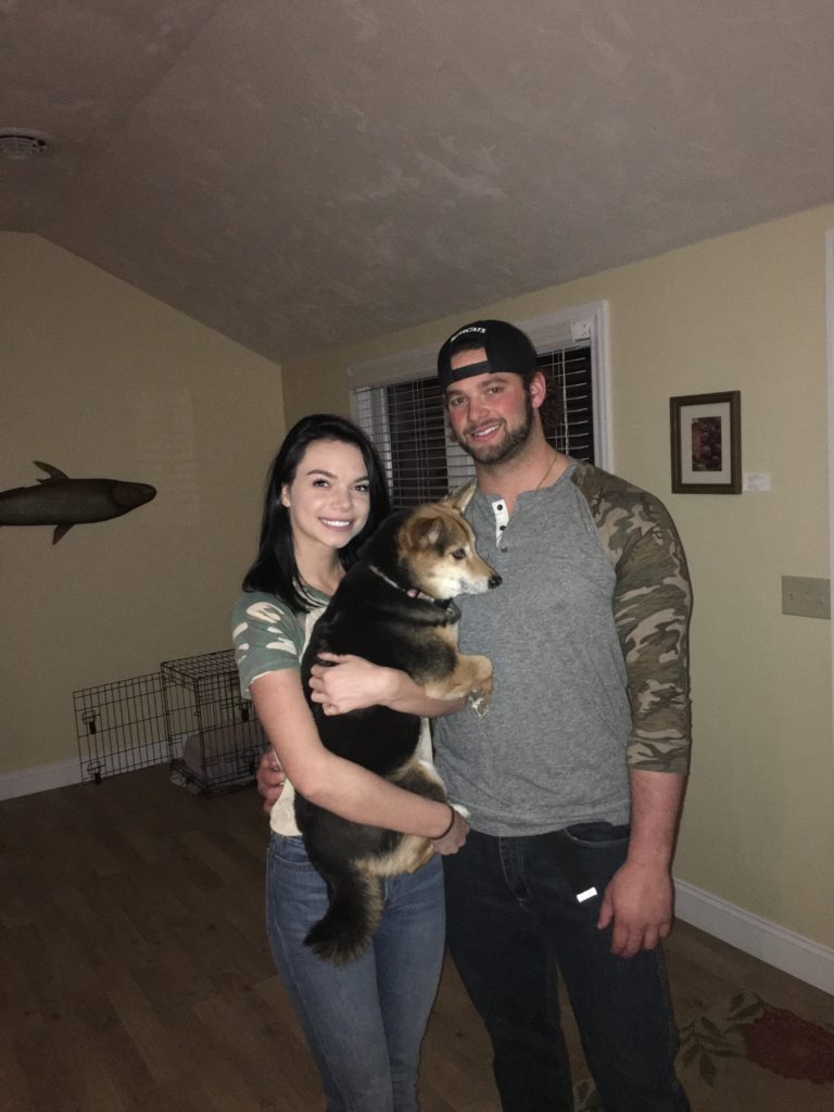 Pet Friendly North East, PA Clement's Lake Erie Cottages