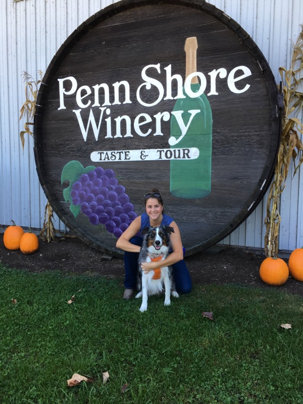 Dogfriendly wineries of Lake Erie Wine Country Clement's Lake Erie