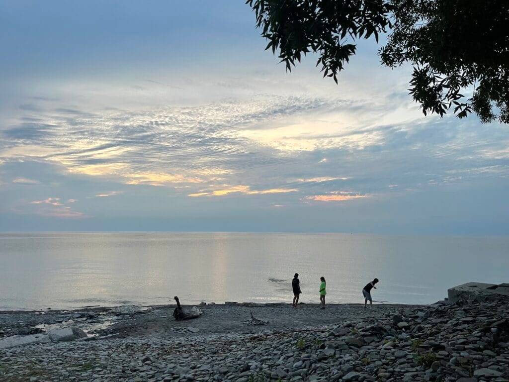 Woodmere Beach has a natural Lake Erie shoreline.  Some stones, some sand, some driftwood.   
